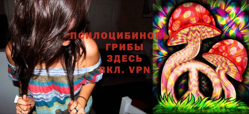 Псилоцибиновые грибы MAGIC MUSHROOMS  Белёв 